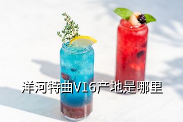 洋河特曲V16產(chǎn)地是哪里