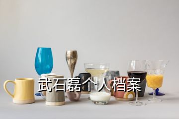 武石磊個(gè)人檔案