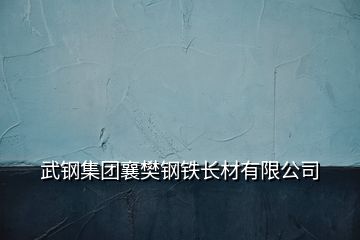 武鋼集團襄樊鋼鐵長材有限公司