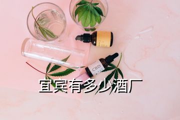 宜賓有多少酒廠