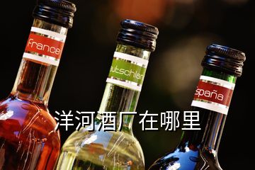 洋河酒廠在哪里