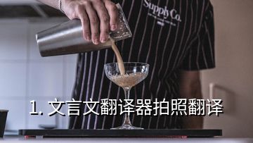 1. 文言文翻譯器拍照翻譯