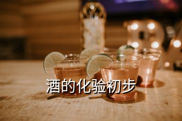 酒的化驗(yàn)初步