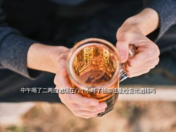 中午喝了二兩白酒現(xiàn)在八個(gè)小時(shí)了抽血還能檢查出酒精嗎