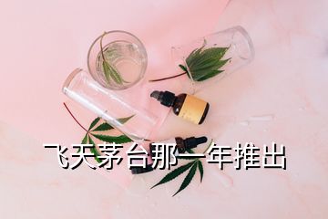 飛天茅臺(tái)那一年推出