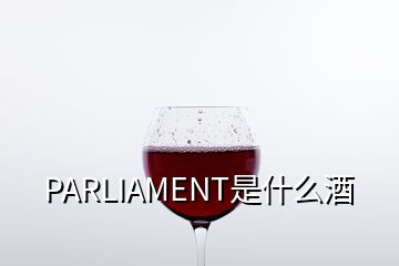 PARLIAMENT是什么酒