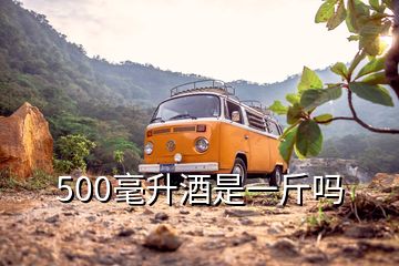 500毫升酒是一斤嗎