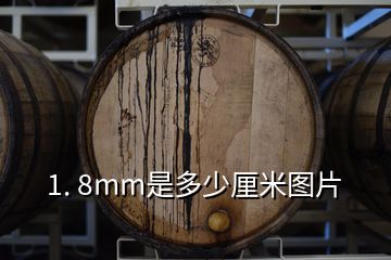 1. 8mm是多少厘米圖片