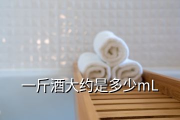 一斤酒大約是多少mL