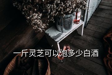 一斤靈芝可以泡多少白酒