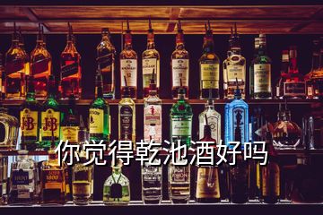 你覺得乾池酒好嗎