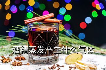 酒精蒸發(fā)產生什么氣體