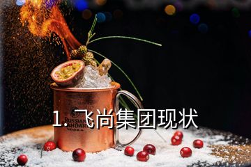 1. 飛尚集團現(xiàn)狀