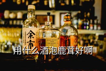 用什么酒泡鹿茸好啊