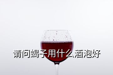 請(qǐng)問蝎子用什么酒泡好