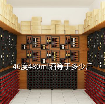 46度480ml酒等于多少斤