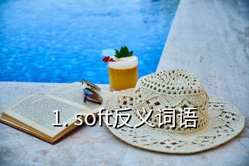 1. soft反義詞語