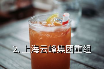 2. 上海云峰集團重組