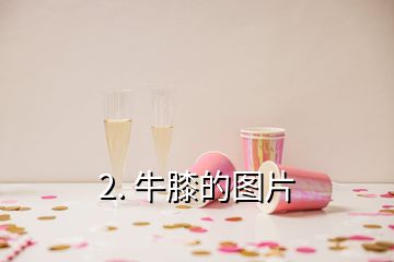 2. 牛膝的圖片