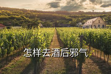 怎樣去酒后邪氣