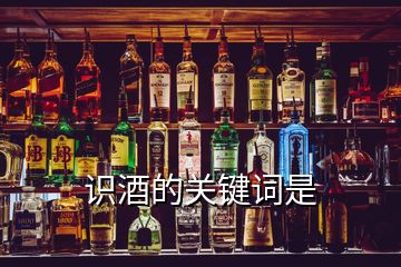 識酒的關(guān)鍵詞是