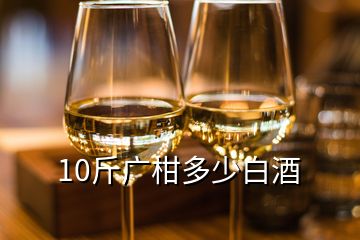 10斤廣柑多少白酒