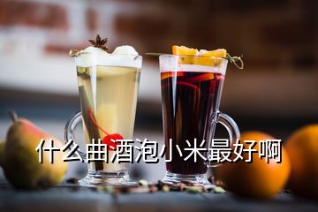 什么曲酒泡小米最好啊