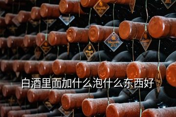 白酒里面加什么泡什么東西好