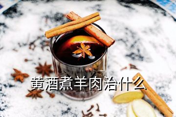 黃酒煮羊肉治什么