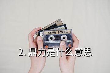 2. 鼎力是什么意思