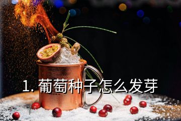 1. 葡萄種子怎么發(fā)芽