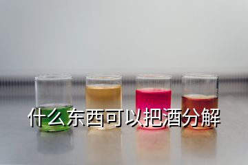 什么東西可以把酒分解