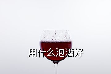 用什么泡酒好