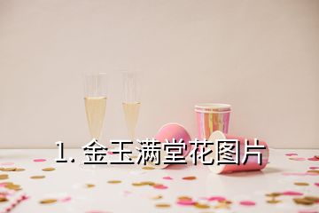 1. 金玉滿(mǎn)堂花圖片