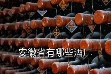 安徽省有哪些酒廠