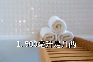 1. 500毫升是幾兩