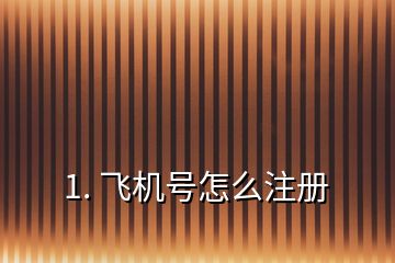 1. 飛機(jī)號怎么注冊