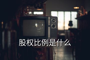 股權比例是什么