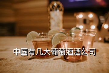 中國(guó)有幾大葡萄酒酒公司