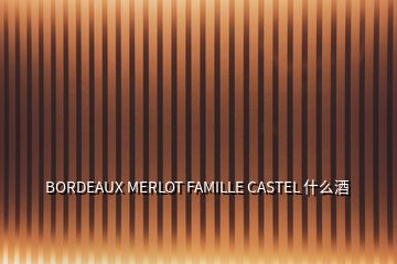 BORDEAUX MERLOT FAMILLE CASTEL 什么酒