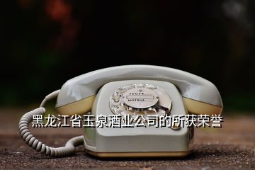 黑龍江省玉泉酒業(yè)公司的所獲榮譽(yù)