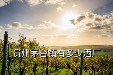 貴州茅臺鎮(zhèn)有多少酒廠