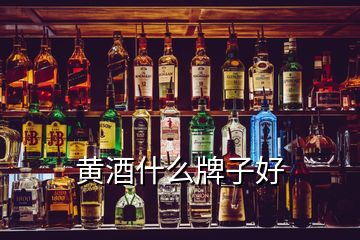 黃酒什么牌子好