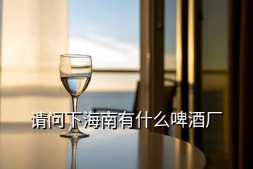 請(qǐng)問(wèn)下海南有什么啤酒廠