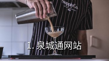 1. 泉城通網(wǎng)站