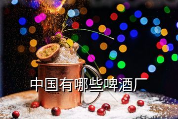 中國(guó)有哪些啤酒廠