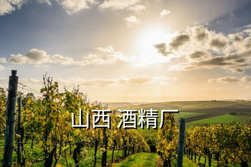 山西 酒精廠