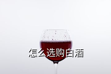 怎么選購白酒