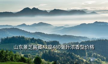 山東景芝窖藏42度480毫升濃香型價格