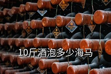 10斤酒泡多少海馬